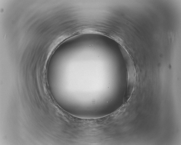 X0000056030289200508261914