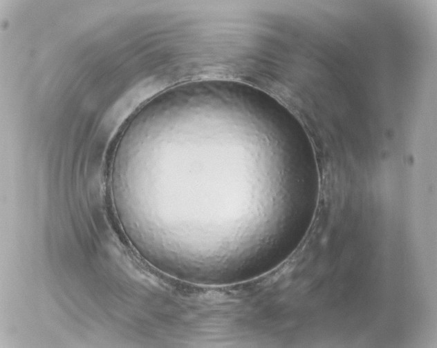 X0000056030290200508261914