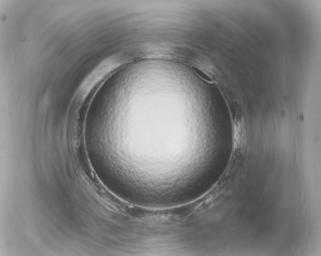 X0000056030291200508261914