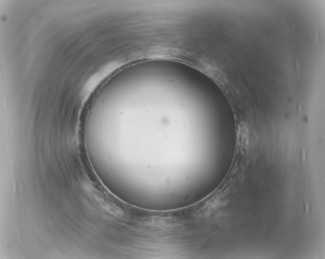 X0000056030292200508261914