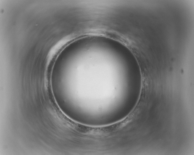 X0000056030294200508261913