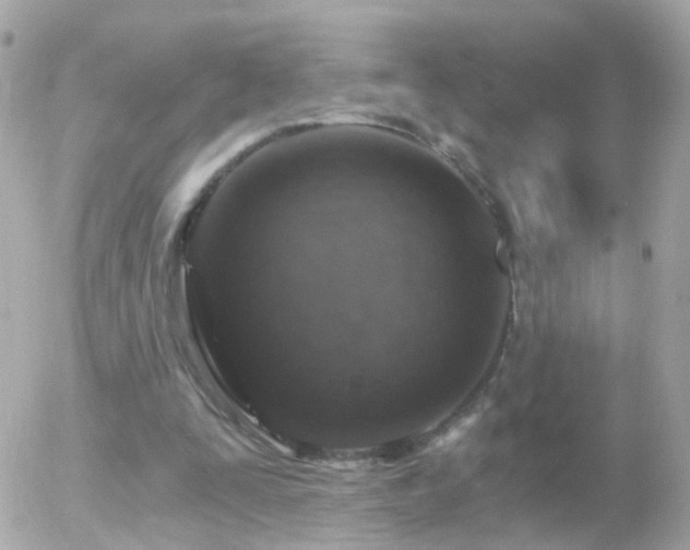 X0000056030295200508261913