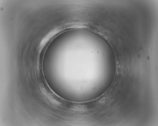 X0000056030296200508261913