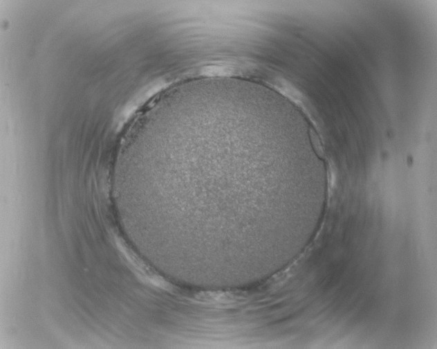 X0000056030297200508261913