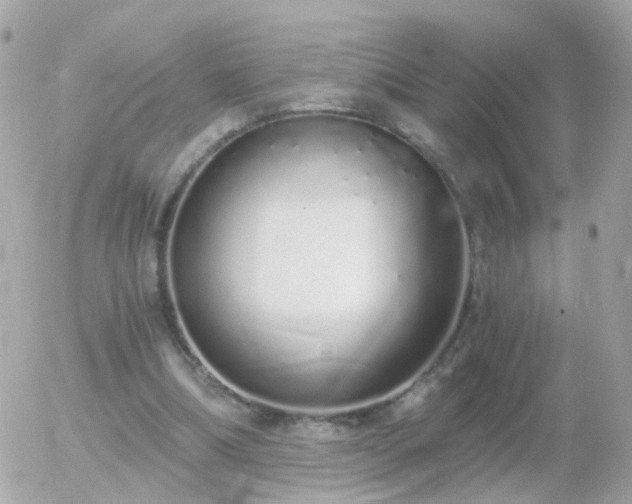 X0000056030298200508261913