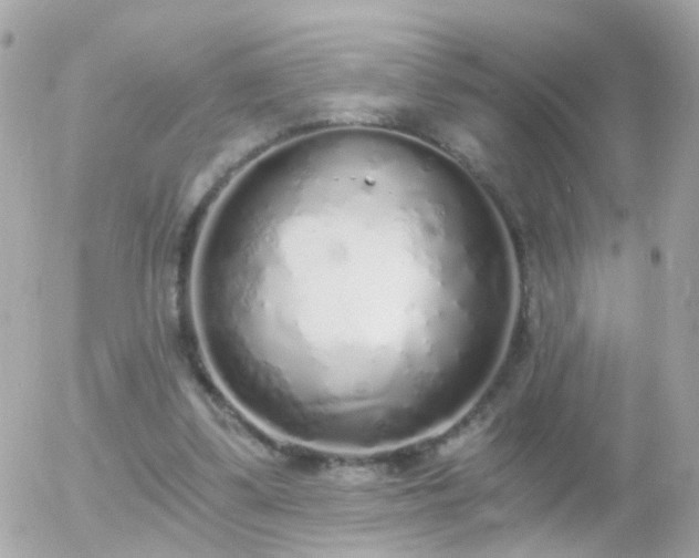 X0000056030299200508261913