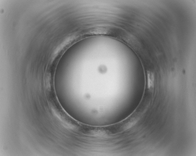 X0000056030300200508261913