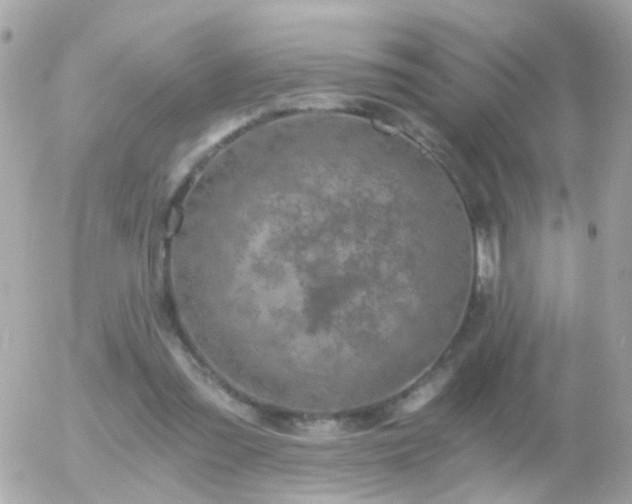 X0000056030301200508261913