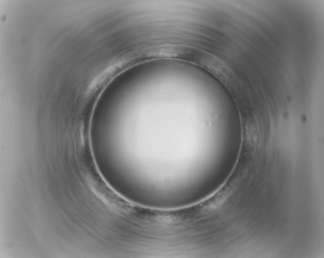 X0000056030302200508261913