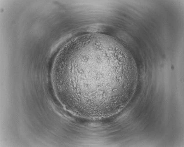 X0000056030303200508261913