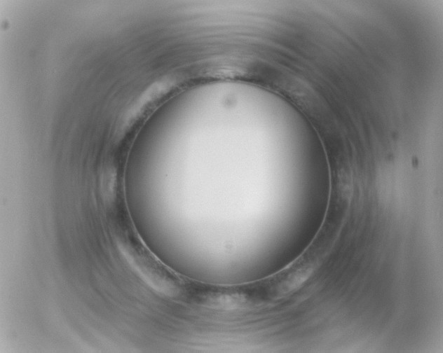 X0000056030304200508261913