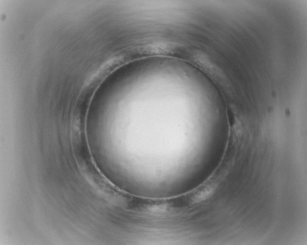 X0000056030306200508261913