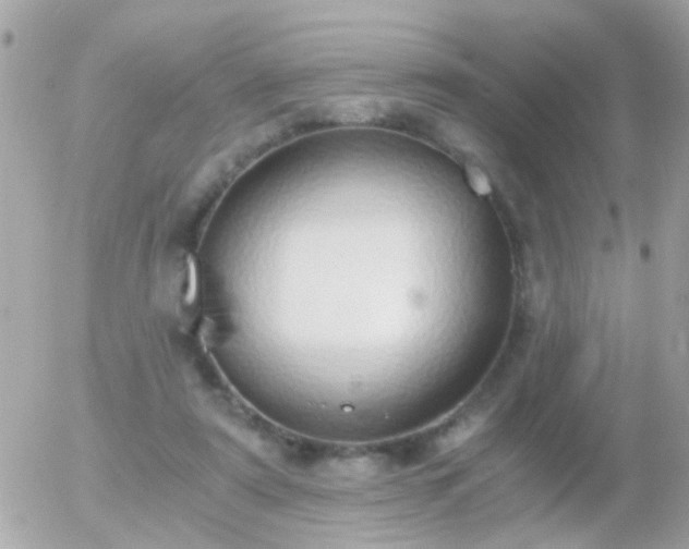 X0000056030307200508261913