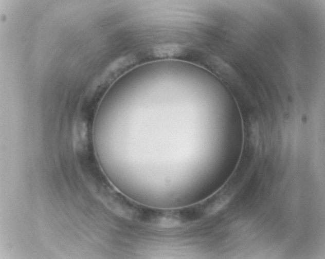 X0000056030308200508261913