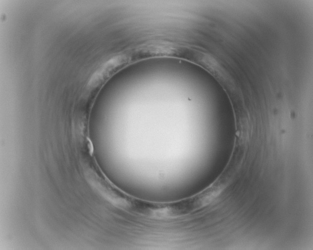 X0000056030309200508261913