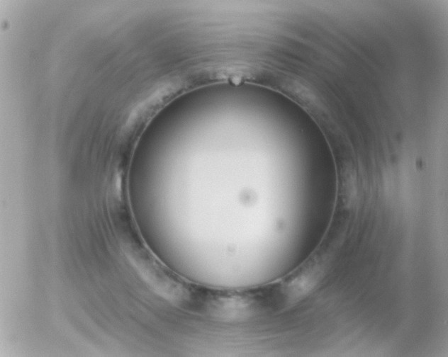 X0000056030310200508261913