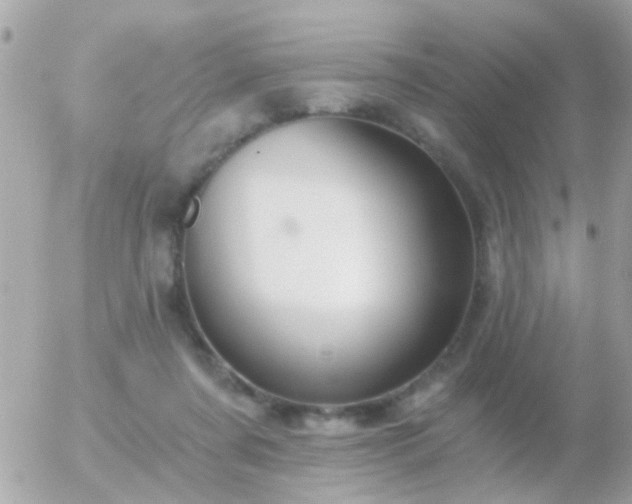 X0000056030311200508261913