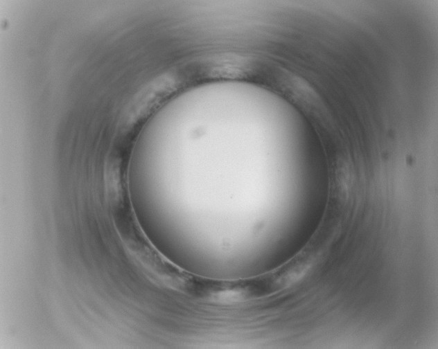 X0000056030312200508261913