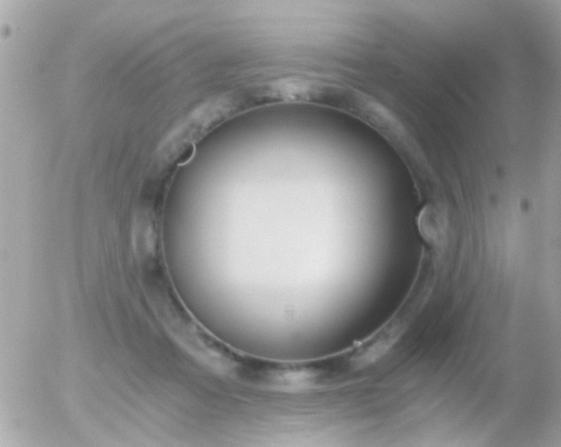 X0000056030313200508261913