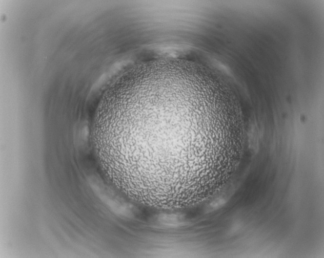 X0000056030314200508261913