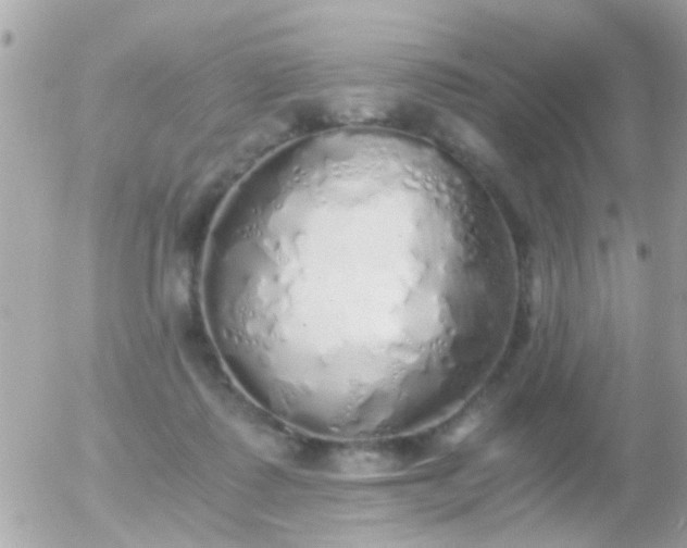 X0000056030315200508261913