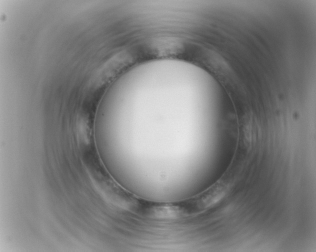 X0000056030316200508261913