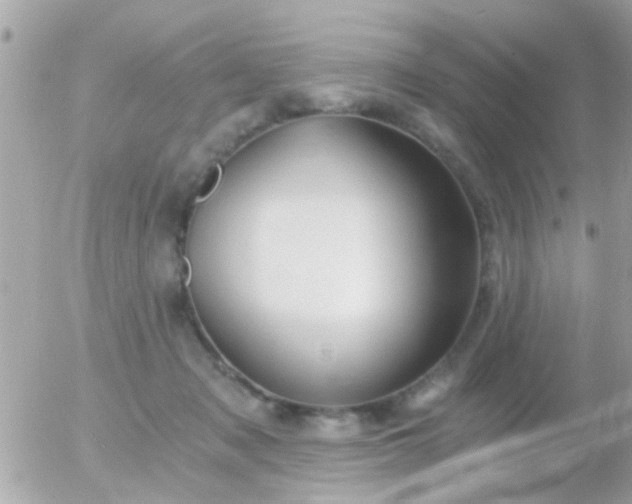 X0000056030317200508261913