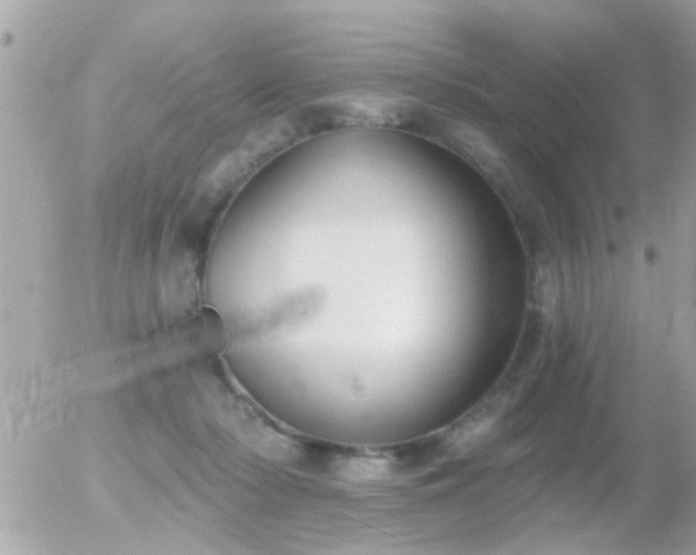 X0000056030318200508261913