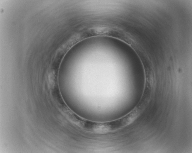 X0000056030319200508261913