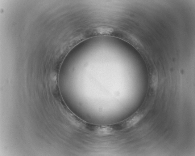 X0000056030321200508261913