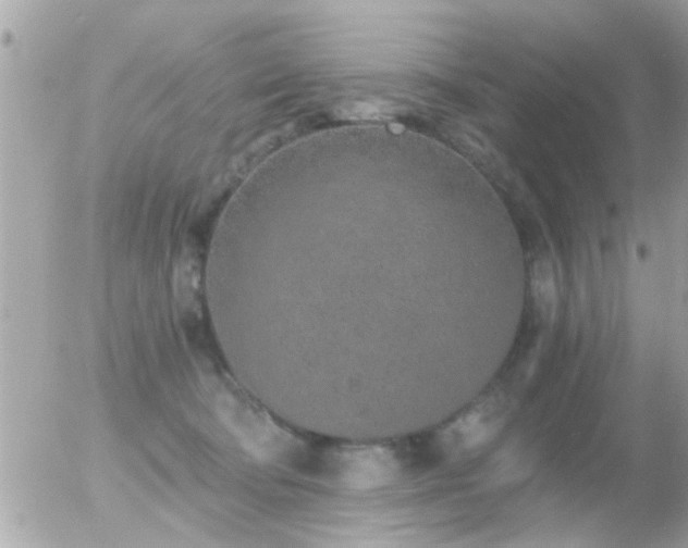 X0000056030322200508261913