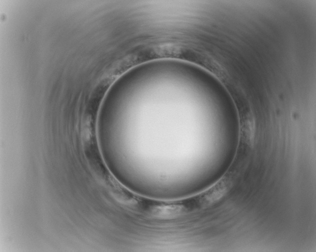 X0000056030323200508261913