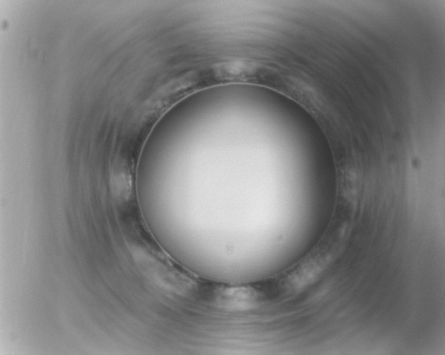 X0000056030324200508261913