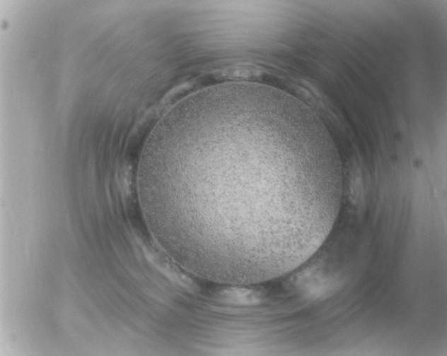 X0000056030326200508261913