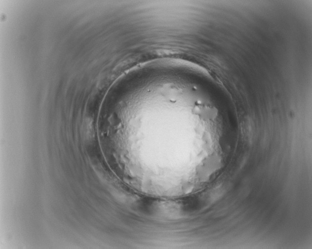 X0000056030327200508261913