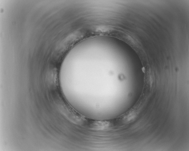 X0000056030328200508261913