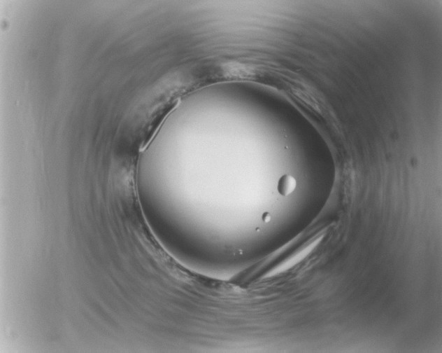 X0000056030329200508261913