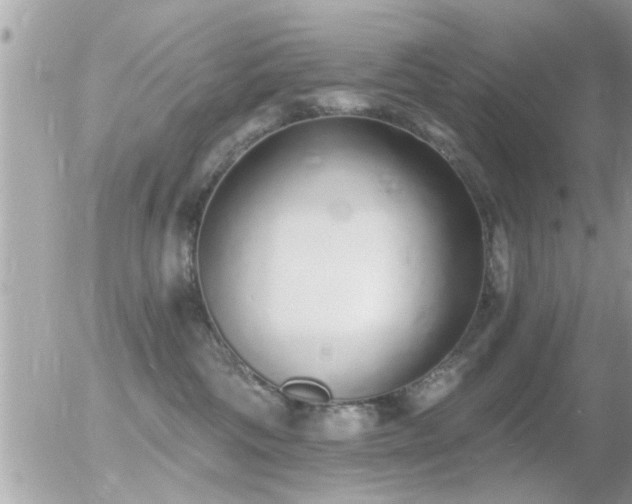 X0000056030330200508261913