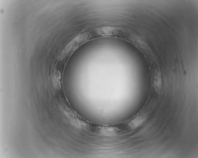 X0000056030332200508261913