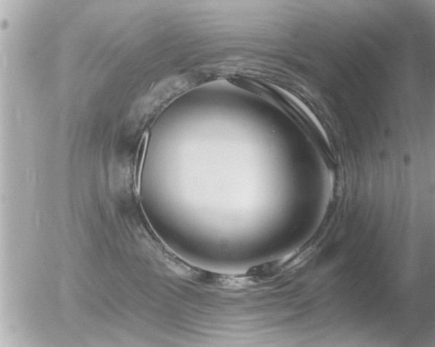 X0000056030333200508261913