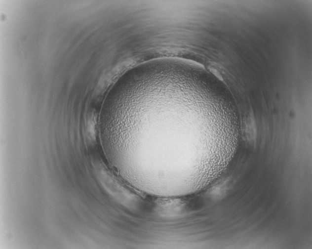 X0000056030334200508261913