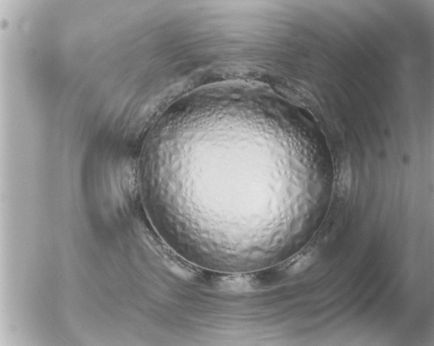 X0000056030335200508261913