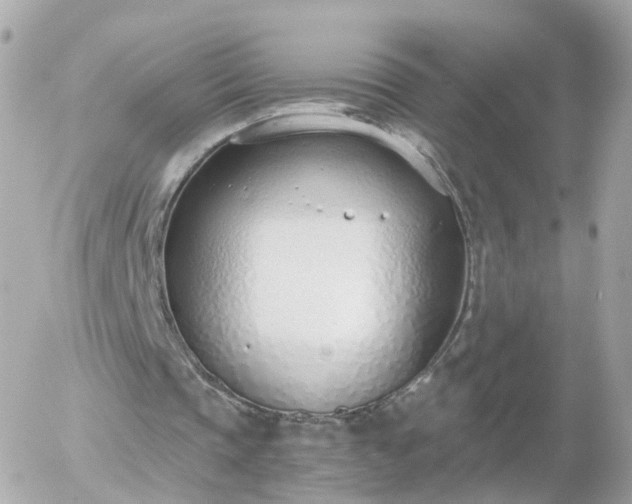 X0000056030337200508261912