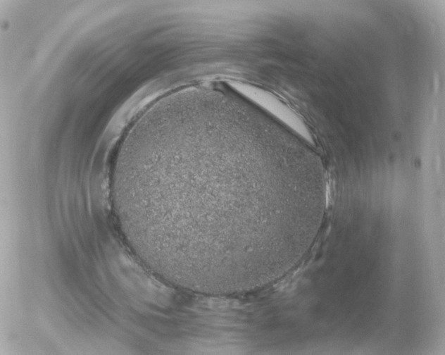 X0000056030339200508261912