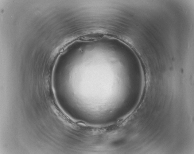 X0000056030345200508261912