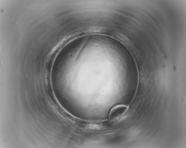 X0000056030347200508261912