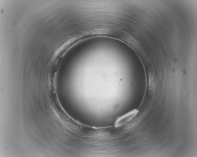 X0000056030348200508261912