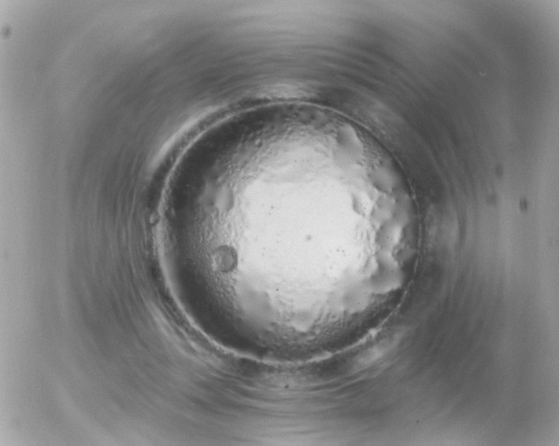 X0000056030351200508261912