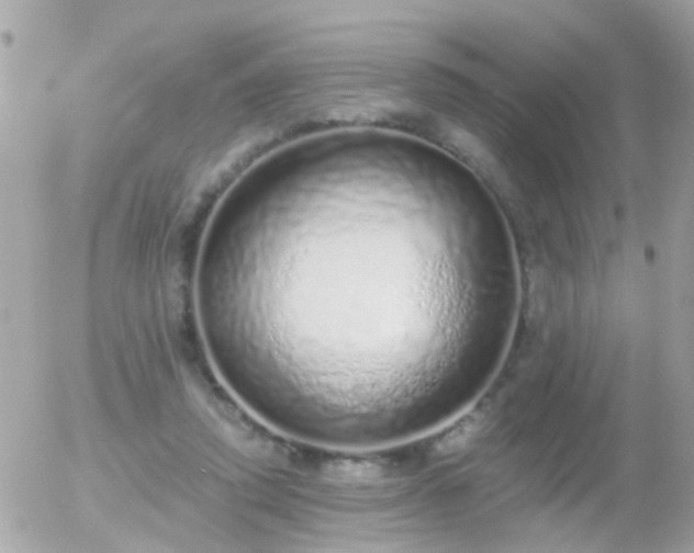 X0000056030354200508261912