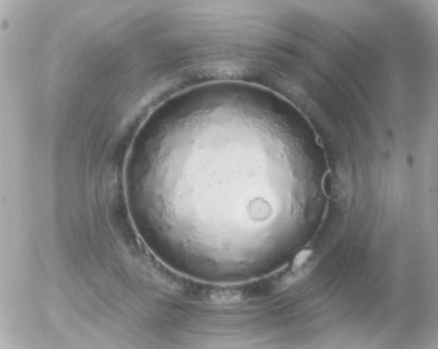 X0000056030355200508261912